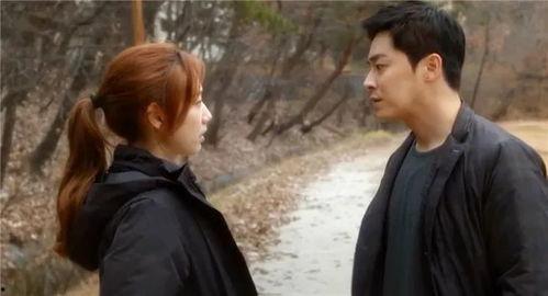 哥哥韩国电影在线观看,哥哥，在线观影指南